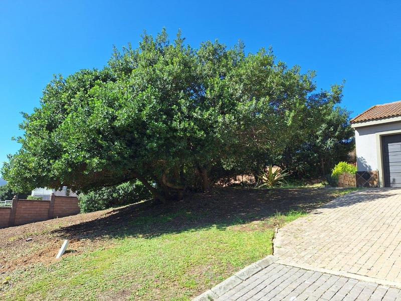 0 Bedroom Property for Sale in Bergsig Western Cape